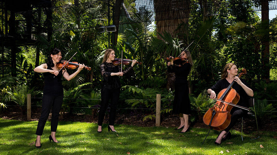 Carnival of the Animals with Elephant in the Room Performing in Adelaide